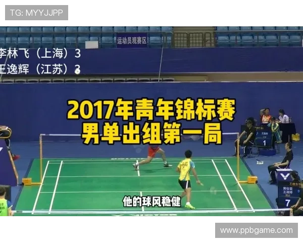 羽毛球逆袭之路:南京羽毛球队的奋斗与荣耀全纪录 羽毛球逆袭之路:南京羽毛球队的奋斗与荣耀全纪录